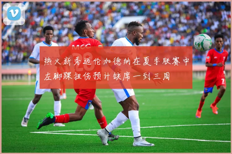 热火新秀迈伦加德纳在夏季联赛中左脚踝扭伤预计缺席一到三周