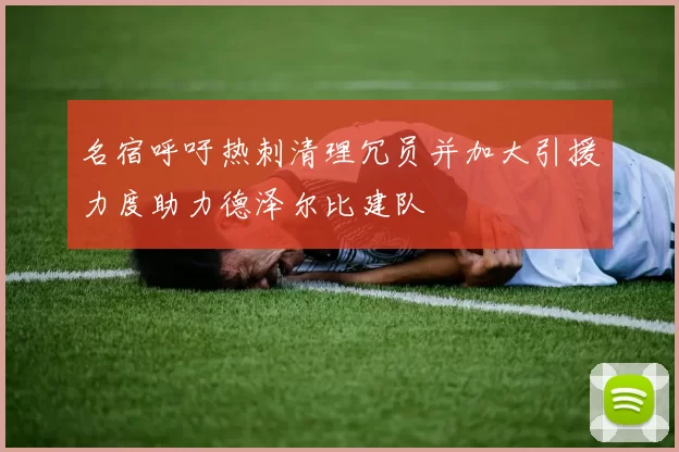 名宿呼吁热刺清理冗员并加大引援力度助力德泽尔比建队